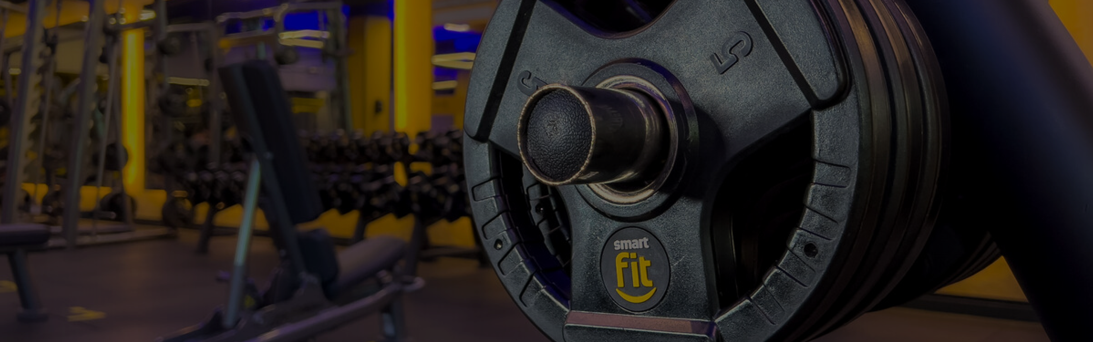 Agachamento Isométrico